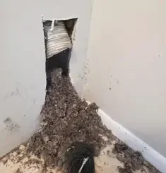 Queen-Duct-Cleaning23